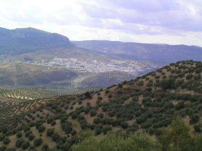 Cordoba and Rute, along the road to Malaga