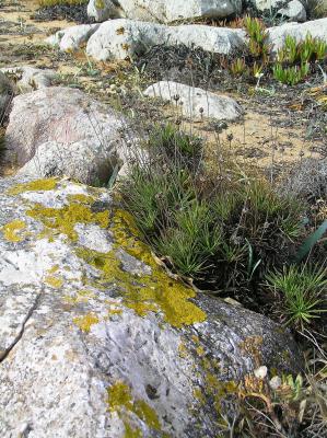 g4/59/578659/3/52089836.Sagrespointlichen.jpg