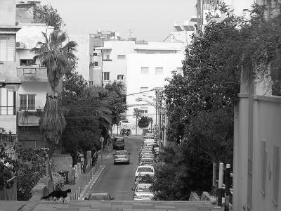 TA-bruk street bw.JPG