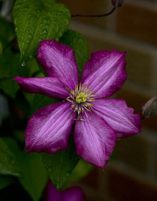 g4/59/599859/3/134875157.nElWCT1j.jpg
