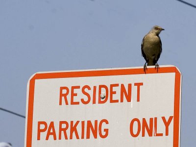 Not the friendliest of neighborhoods