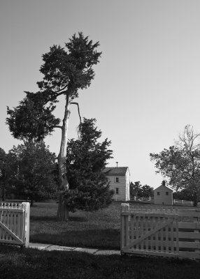 Shaker Village_060311_0101 bw copy.jpg