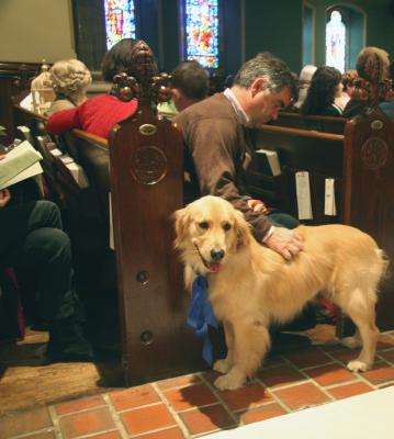 Blessing of the Animals 4