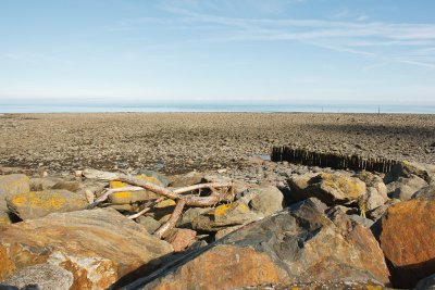 Devon2012-24