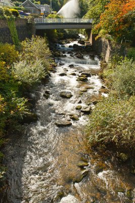 Devon2012-30