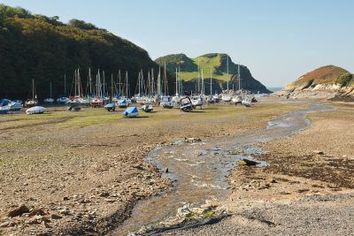 Devon2012-41