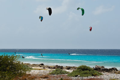 Bonaire 2012-29