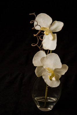 Artificial Orchid
