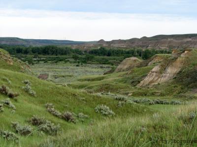 Dinosaur Provincial Park 1.jpg