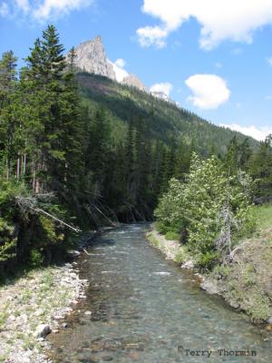 Bauerman Creek - Waterton 1.jpg