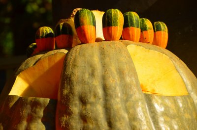 Halloween 2011   23.JPG
