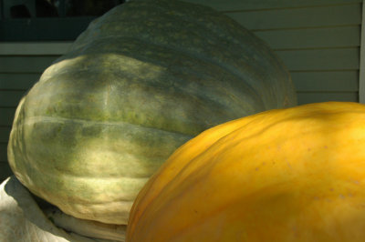 Halloween 2011   27.JPG