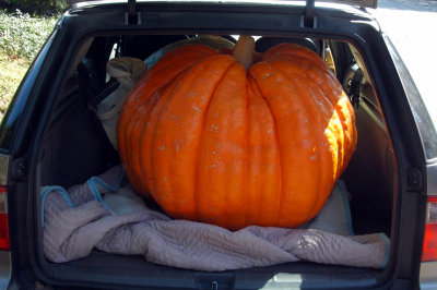 Halloween 2011