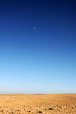 Moonrise over the desert