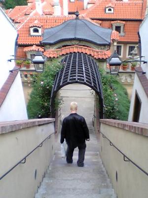 201.Jrat walking into the monster's mouth.jpg