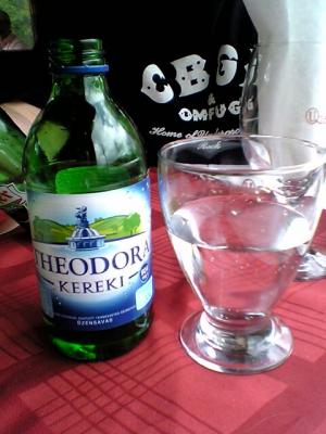 211.Hungarian water.jpg