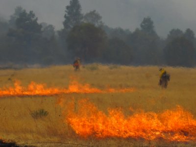 Strip Firing Near Escudillo Flats