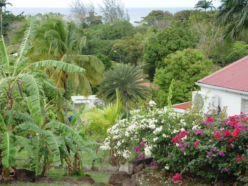 Deshaies - Guadeloupe