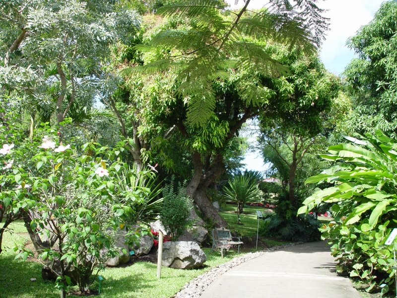 Jardin botanique, Deshaies - Guadeloupe