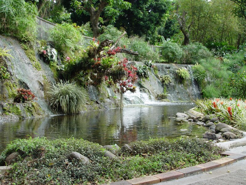 Jardin botanique, Deshaies - Guadeloupe