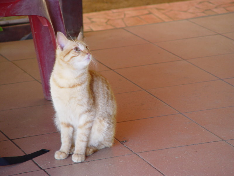 Guadeloupe