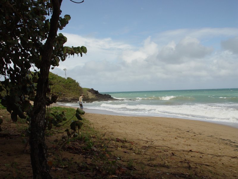 Deshaies - Guadeloupe