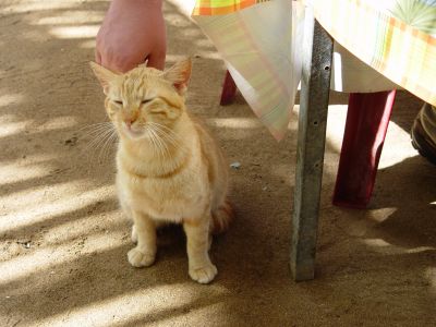 Guadeloupe