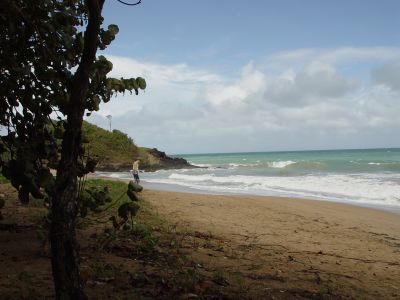 g4/59/684159/3/63681329.nzoTjGmJ.jpg