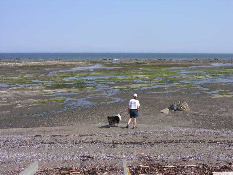 beach at Ste-Flavie