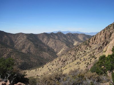 Mule Mountains - looking north from atop Juniper Flats - view 2