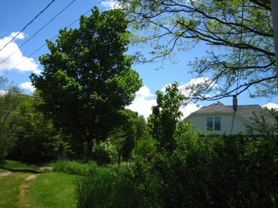 front lane and neighbour's house