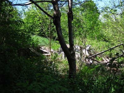 ruins of old cooper's shop on hillside down to river