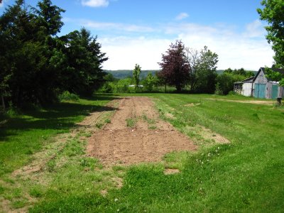 vegetable garden I am using at a neighbor's