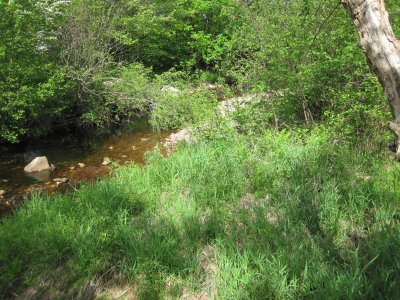 view of brook by the island - right