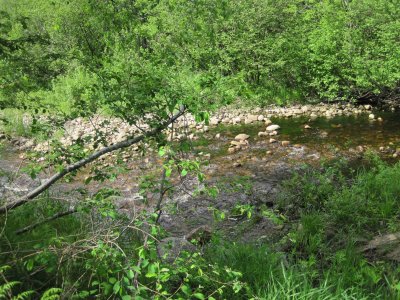 view of brook by island - middle