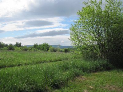 view of North Range across a neighbour's field