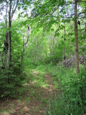 trail to back. of property