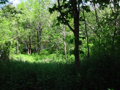 view down to Round Hill Brook from the house