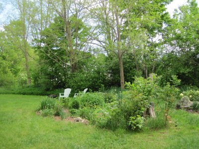 perennial garden