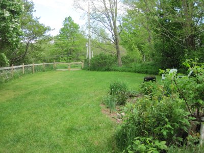 front lawn looking toward gate from the house