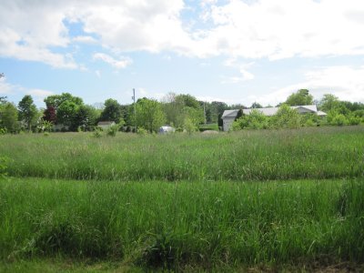 neighboring house on west side