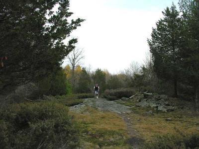 trail alongside beaverpond
