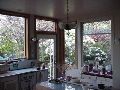 garden through kitchen window