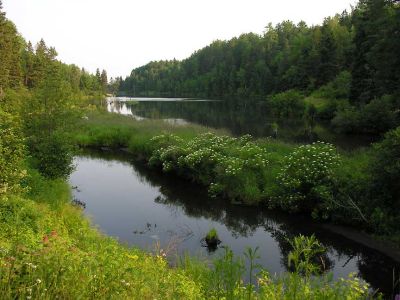 French Fort Cove pond