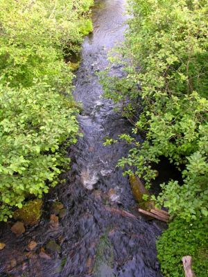 French Fort Cove stream