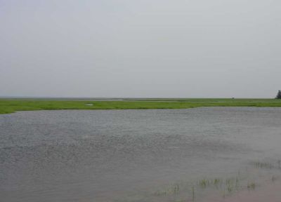 baie-verte-coastal-marsh.jpg