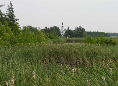 blackbird-trail-marsh-large.jpg