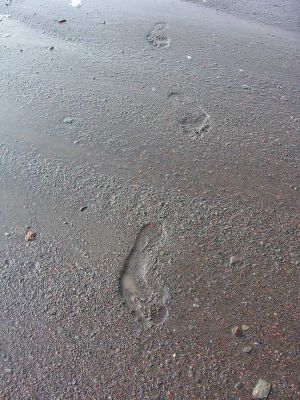 footprints-large.jpg