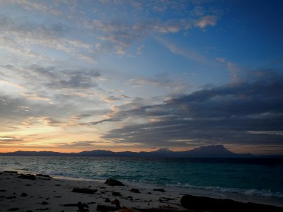 Dawn