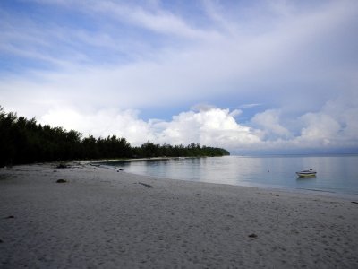 Morning walk on the beach